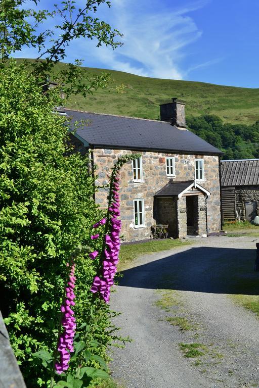 The Firecat Country House Guesthouse Mallwyd Esterno foto